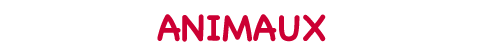 titre animaux